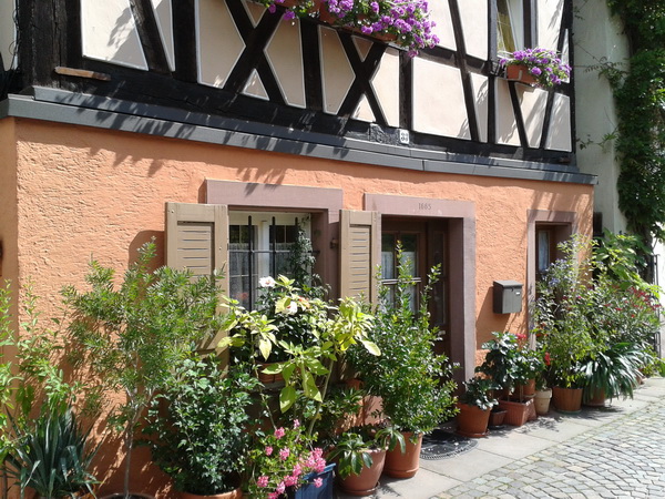 2014-08-24_12.15.56.jpg