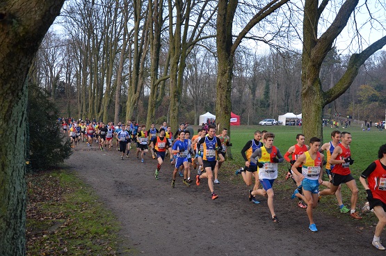 parcours roulant au parc de Champagne