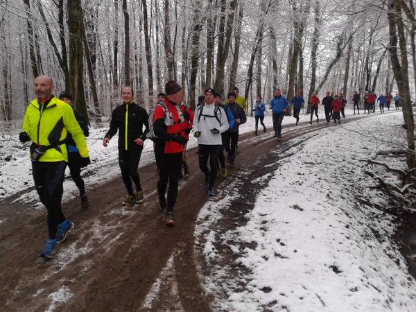 Arrivée au parcours de santé