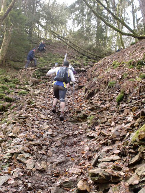 Il y a aussi des pierres dans le massif ardennais