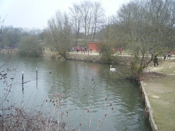 DSCF7010.jpg