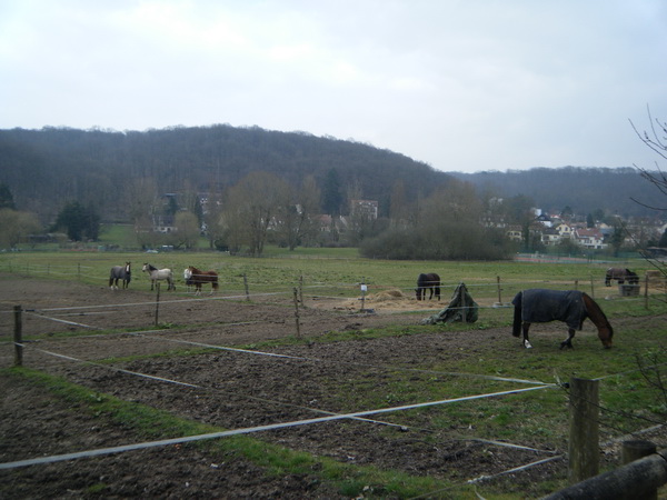 DSCF7017.jpg