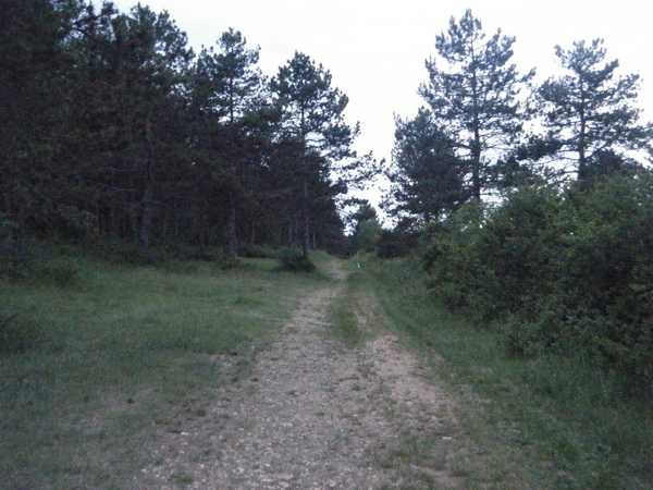 pas mal de forêts et chemins roulants dans la 1ère partie