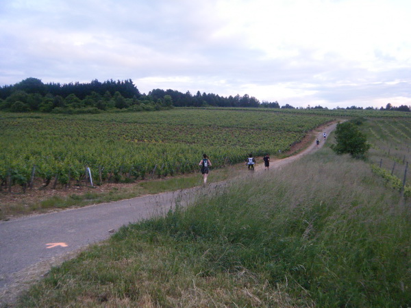 et de vignes bien sûr