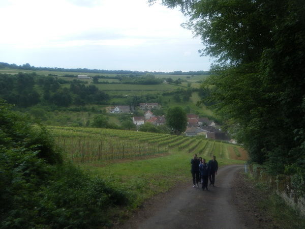 la Bourgogne candidate au patrimoine mondial de l'Unesco