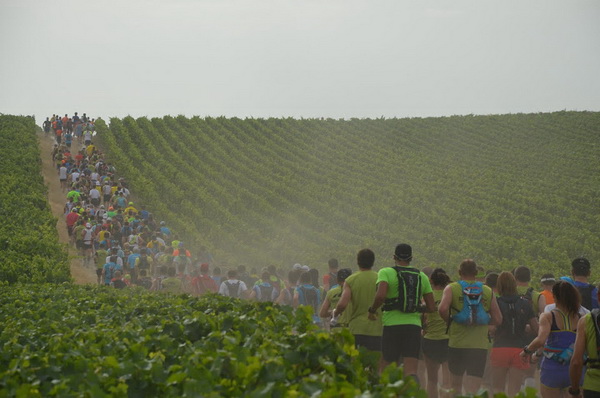 ...du monde dans les vignes...