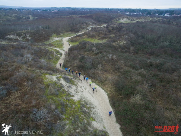 Dans les dunes