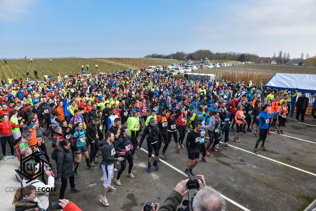 Un beau peloton sous le soleil....à l'échauffement 