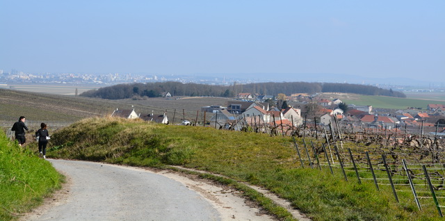 Elle n'est pas belle la Champagne...