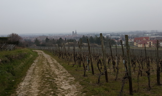 Rouffach