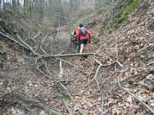 Plusieurs coupes sur le parcours....c'est du trail