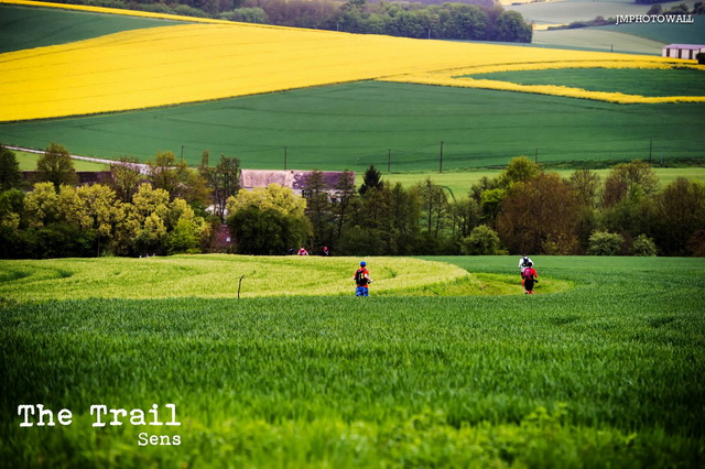 la campagne de l'Yonne