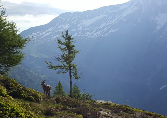 l'appareil photo n'était pas loin...