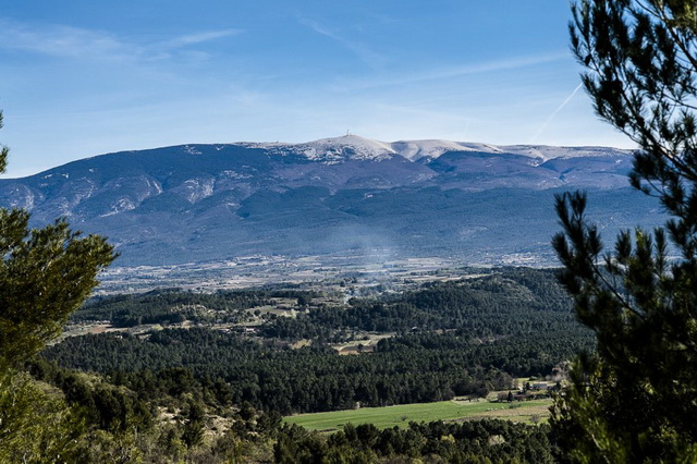 En toile de fond le Ventoux