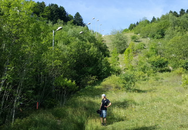 Depuis les jeux d'hiver 1968, les lampadaires sont toujours là mais la nature a repris ses droits....