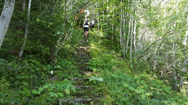 La montée au tremplin