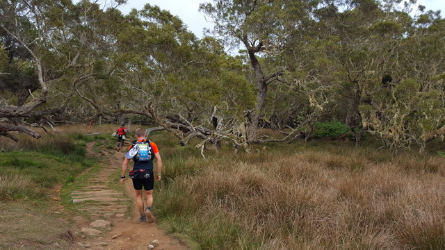 km 80 : plaine des tamarins, c'est trés beau et trés calme mais la vitesse ......