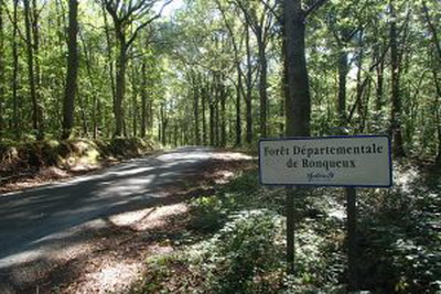 Les passages en forêt vallonnés sont agréables....même l'hiver