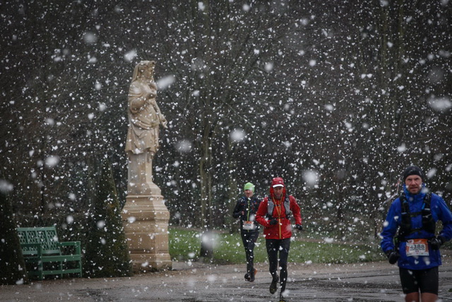 C'est ...presque le printemps....