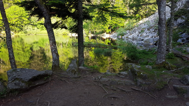 passage au petit lac de Fischboedle ...reflet matinal