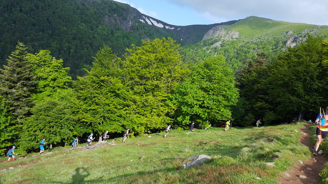 Encore bien groupé dans la 1ère partie de montée au Hohneck