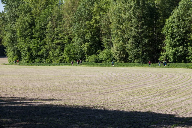 Un peu de verdure dans la plaine