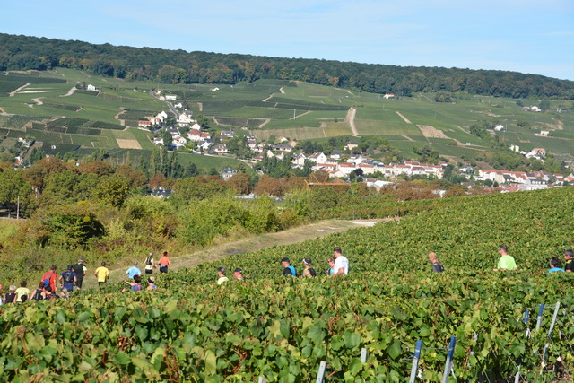 DSC_3403.jpg
