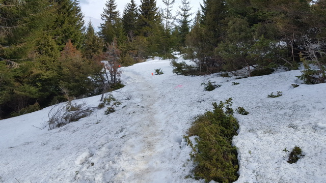 neige au petit ballon