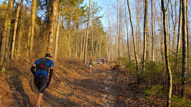 Presque tout le parcours en forêt sous le soleil