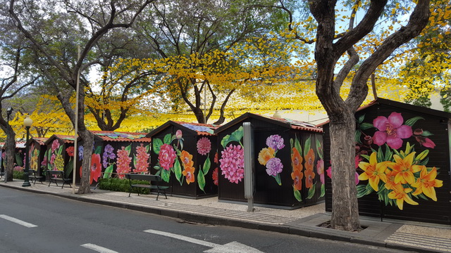 la fête des fleurs se prépare