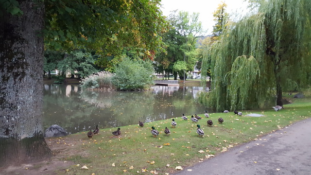 Parc de la fecht